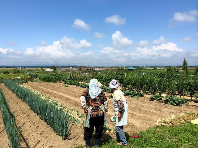 完全休養。