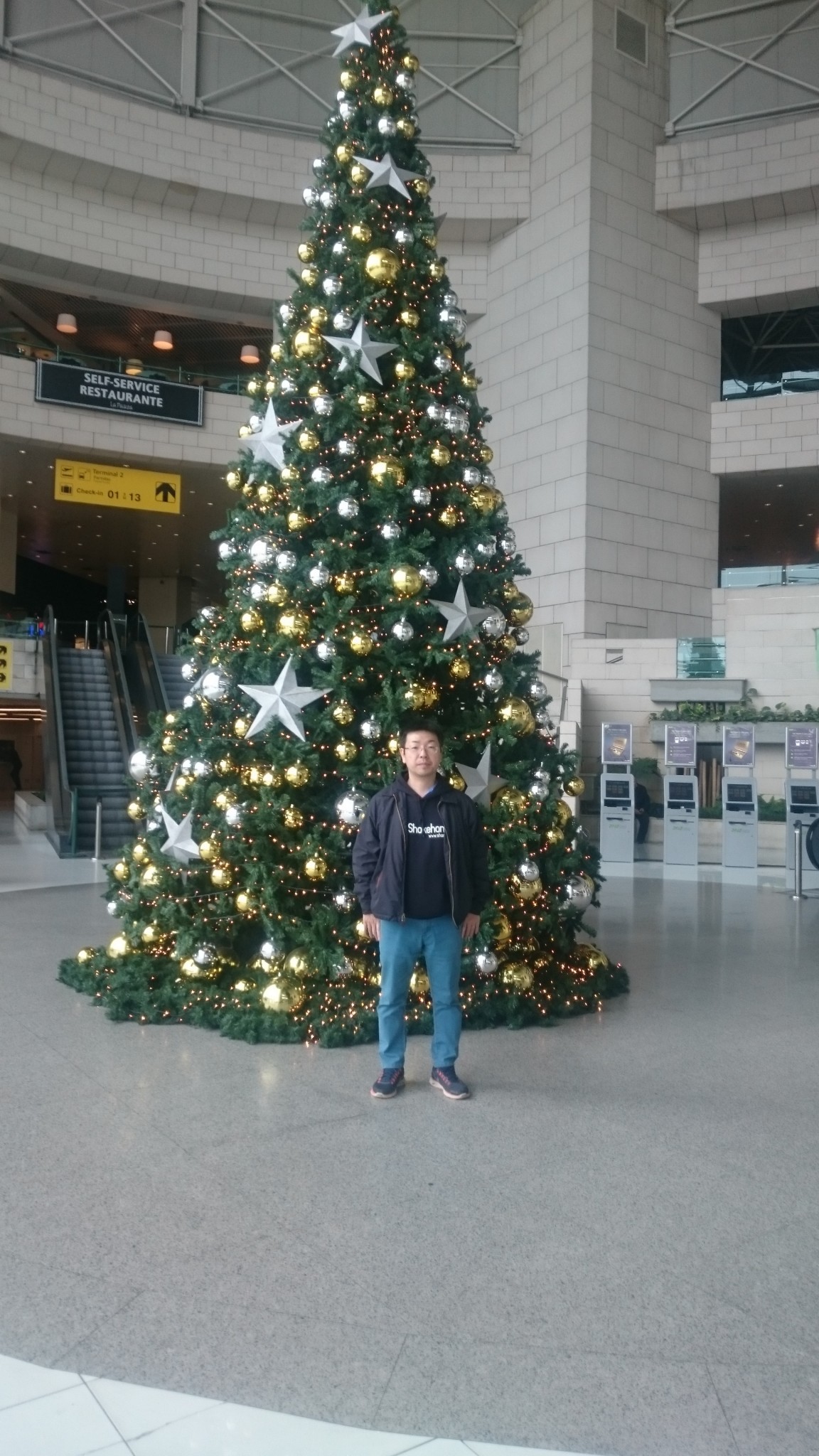 tree