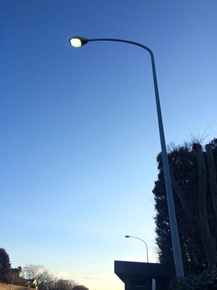 11037770_542432699259352_246292775215389161_n