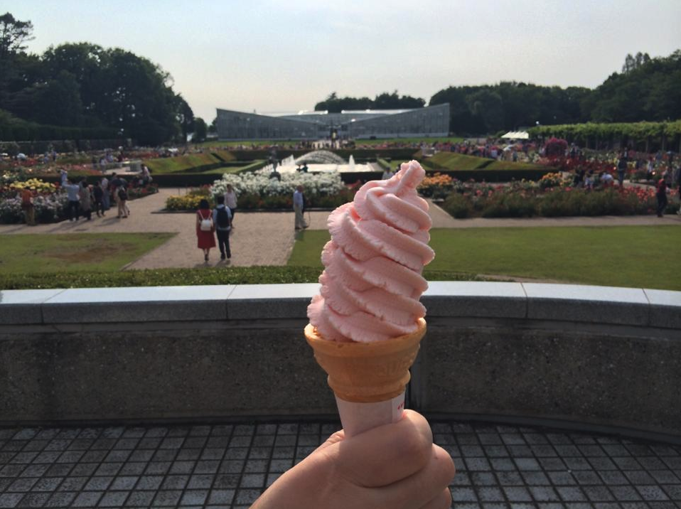 バラ園のついでに