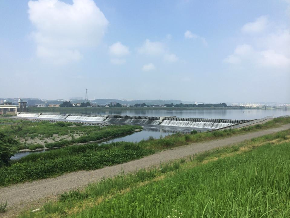 多摩川の風に吹かれるのもイイですね ♪(´ε｀ )
