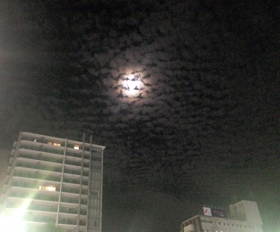 平岡ブログ　10_6 06