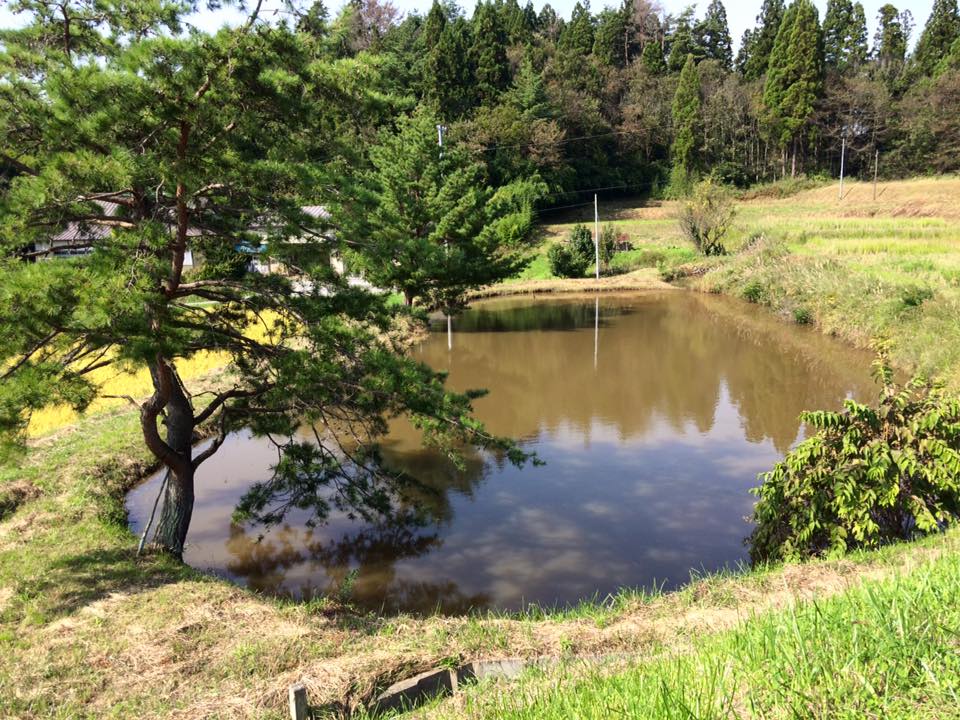 平岡ブログ　10_1 01
