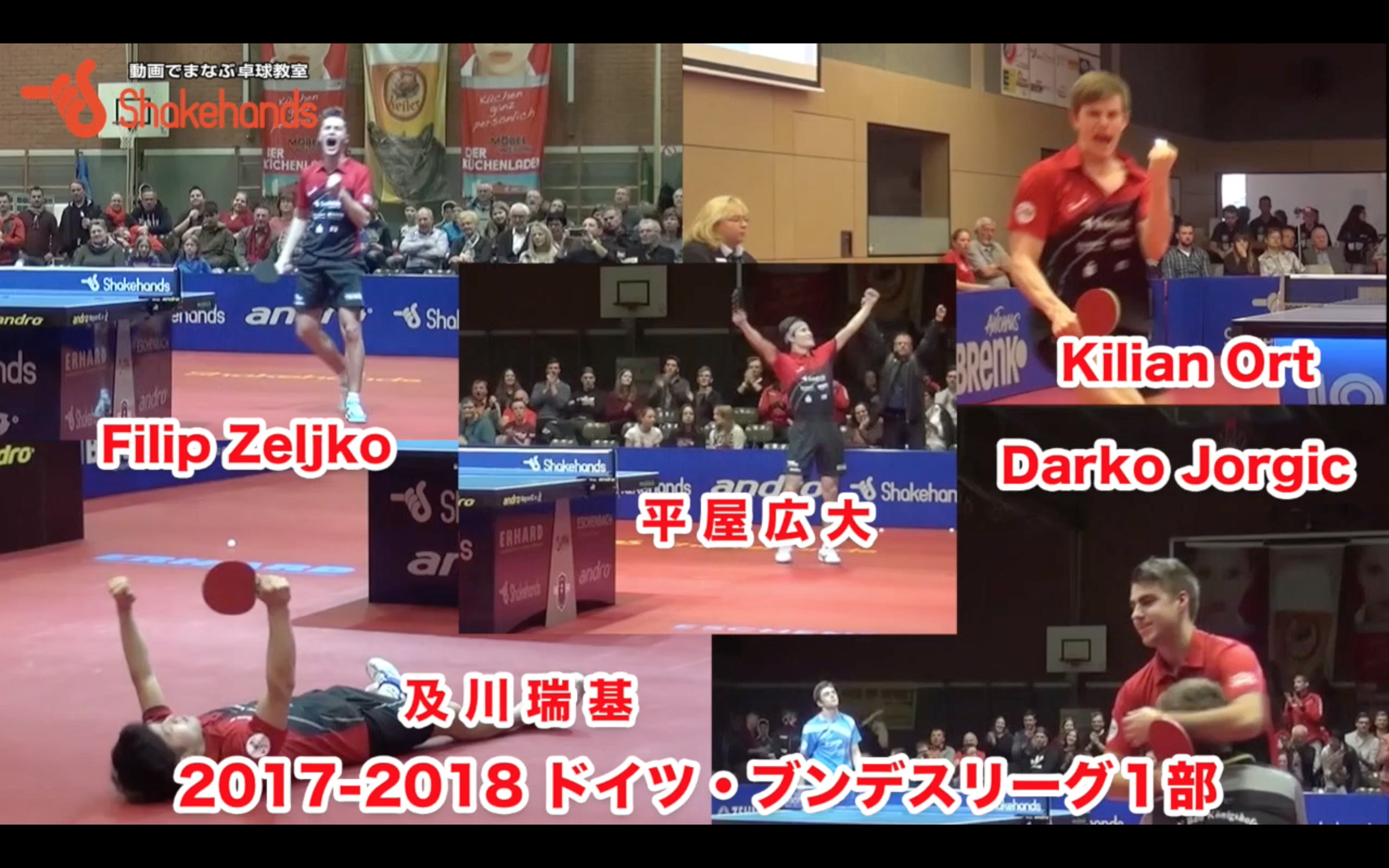 2017/18ブンデスリーグ1シーズンを終えて。