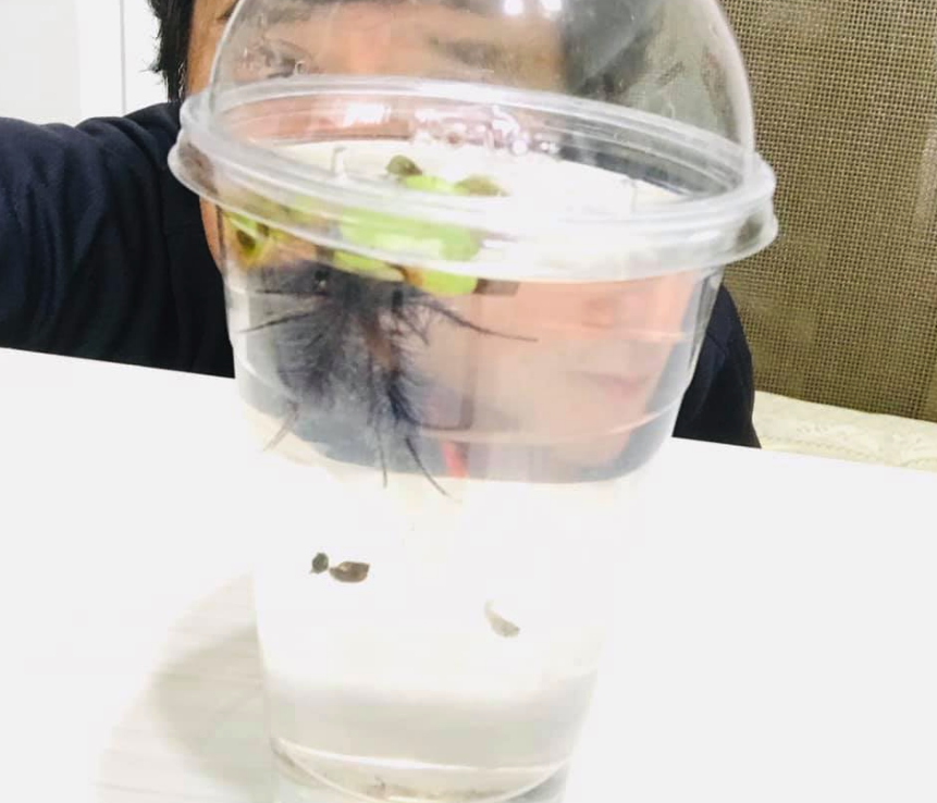 新しく『子供たちの指導方法』を 考えつきました