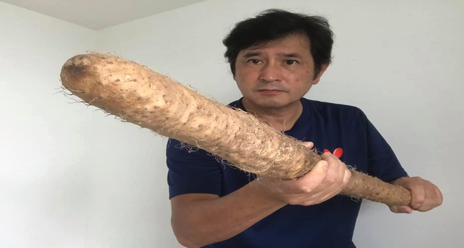 嬉しいお届け物が立て続けに届きました