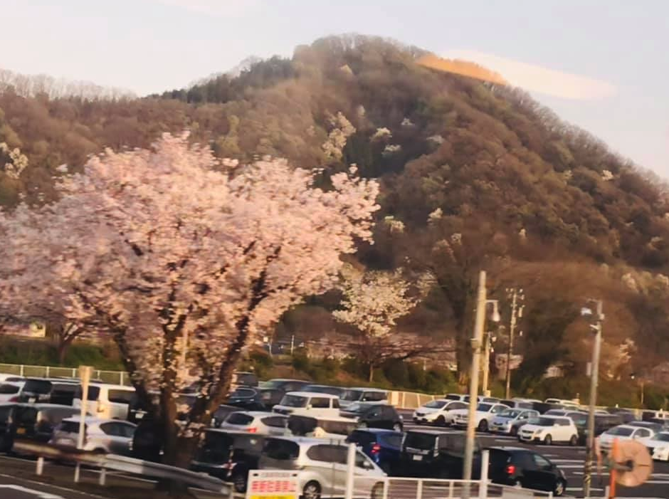 日本の卓球界を今一度洗濯いたし申候