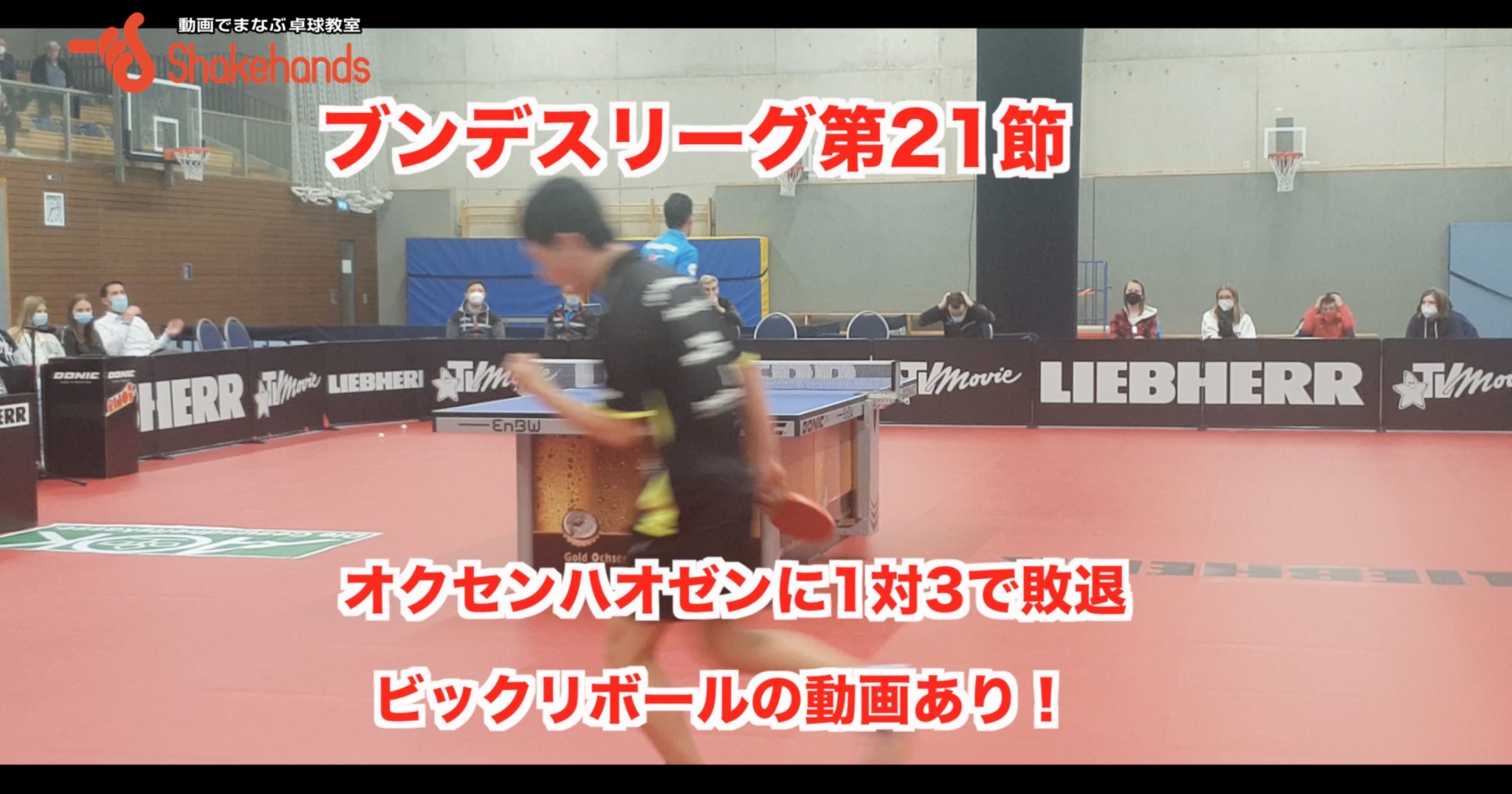 ブンデスリーグ 21節 【 オクセンハオゼンに1対3で敗退 】ビックリ動画あり!